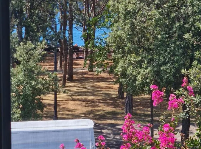 Medium Miramare Sogno Sul Mare * 트리에스테