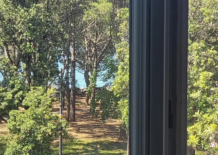 Medium Miramare Sogno Sul Mare 아파트 트리에스테